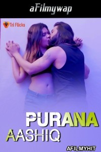 Purana Aashiq (2024) Triflicks Hindi Hot Short Film